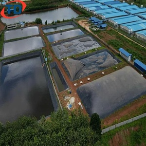 Geomembrana para Presas y Estanques, 0.5mm, 1.5mm, 1mm, 2mm, HDPE, Revestimiento para Lagos Artificiales, Estanques de Piscifactorías, Geomembrana de 45mil - Product Image 6