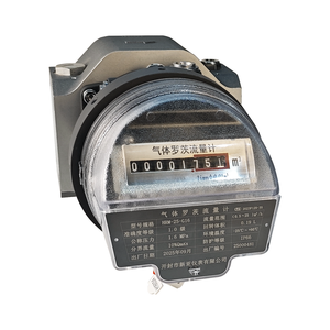 Hoge Precisie Gaswortels Debietmeter | Aardgas Taillewiel Meter Met Rs485 Puls Output Voor Industriële Gasmeting - Product Image 5