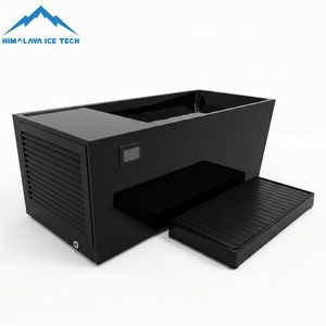 Bain froid tout-en-un haut de gamme avec refroidisseur intégré 1HP/1.5HP - Contrôle par application, stérilisation à l'ozone, nettoyage facile pour hôtels de luxe - Product Image 6