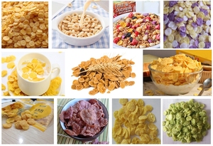 Machines de fabrication de poudre de riz Extrudeuse de poudre de <span class=keywords><strong>gruau</strong></span> de petit déjeuner de flocons de maïs d'orge de millet - Product Image 4