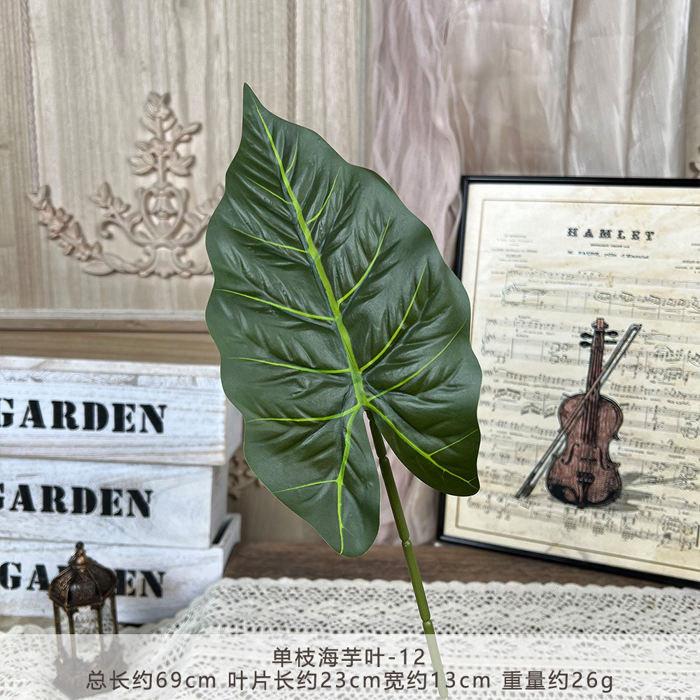 YM2-Single taro leaf-12