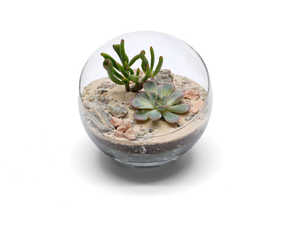 <span class=keywords><strong>Sinaloa</strong></span> ชุดกระถางปลูกต้นไม้ในทะเลทรายระดับพรีเมี่ยมสไตล์คันทรีกระถางปลูกต้นไม้สำหรับตกแต่งสวนในบ้านและสถานรับเลี้ยงเด็กด้วยต้นกระบองเพชร - Product Image 6