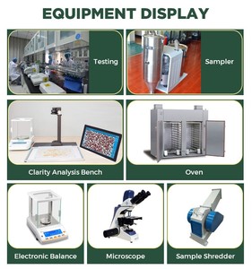 Petlinks sgranocchiare <span class=keywords><strong>Licious</strong></span> erba di gatto biologico invasatura Soilless coltura dell'acqua piantando scatola di grano Chia piastra di coltivazione giardino casa - Product Image 5