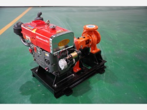 <span class=keywords><strong>Pompe</strong></span> centrifuge durable à moteur diesel haute efficacité 15 CV, monophasée, à aspiration axiale, garantie 3 ans pour petites exploitations agricoles - Product Image 2