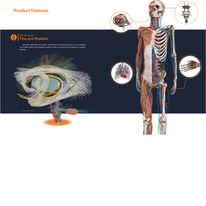 Touch screen umano virtuale 3d anatomia tavolo dissezione anatomia tavolo <span class=keywords><strong>università</strong></span> - Product Image 4