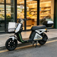 Vélo électrique de ville 600W avec moteur brushless en cuivre pur, pneus sous vide 20x250, écran LCD, phare LED, antivol, panier et boîte arrière