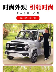 Hot And Cold Air New Energy Cheap 4 Wheel Mini Electric Pickup Electric Truck Electric Vehicle Cars Adult