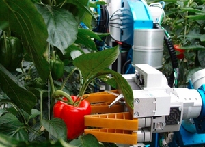 Un robot collaboratif adapté à la cueillette agricole aide les personnes à cueillir des tomates, des pommes, des fraises, des melons, etc. - Product Image 6