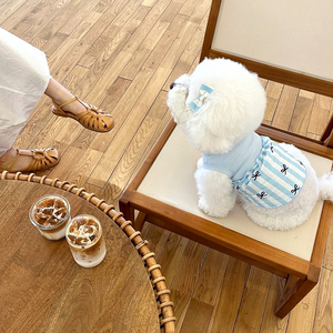Venta al por mayor de ropa de lujo para mascotas 2025 primavera/verano nueva ropa para perros y gatos fiesta rayas perro chaleco vestido Bowknot falda - Product Image 6