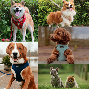 OKEYPETS Conjuntos De Arnés Para Perro De Neopreno Transpirable Reversible Con Bandana, Bolsa Para Excrementos Y Correa De Lujo Ajustable Personalizada Para Cachorros - Product Image 5
