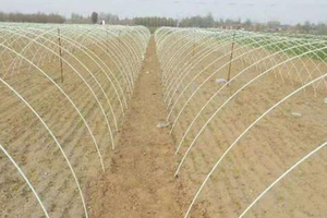 Aros flexibles de fibra de vidrio para invernaderos y huertos elevados, aros de jardín resistentes a la oxidación para soporte de redes en filas de fresas - Product Image 3