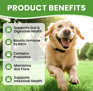 OEM/ODM <span class=keywords><strong>Perros</strong></span> Masticables Suaves Prebióticos Suplemento Digestión Probióticos Inmune Intestinal Trata <span class=keywords><strong>Alimentos</strong></span> Suplemento <span class=keywords><strong>PARA</strong></span> EL Cuidado DE LA Salud de Mascotas y Vitaminas - Product Image 3