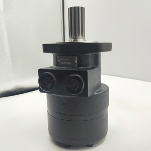 Motor Hidráulico Zhenyuan TG TE TF TB TE0080CW260LABA TF0475 AS030AAAP TG0530AS030AAAA TB0100AP100AAAB - Product Image 2
