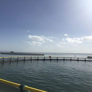 Circular <b>Floating</b> <b>Fish</b> Cage With Anti-predator Net HDPE Marine Cage For Commercial Aquaculture - Product Image 1