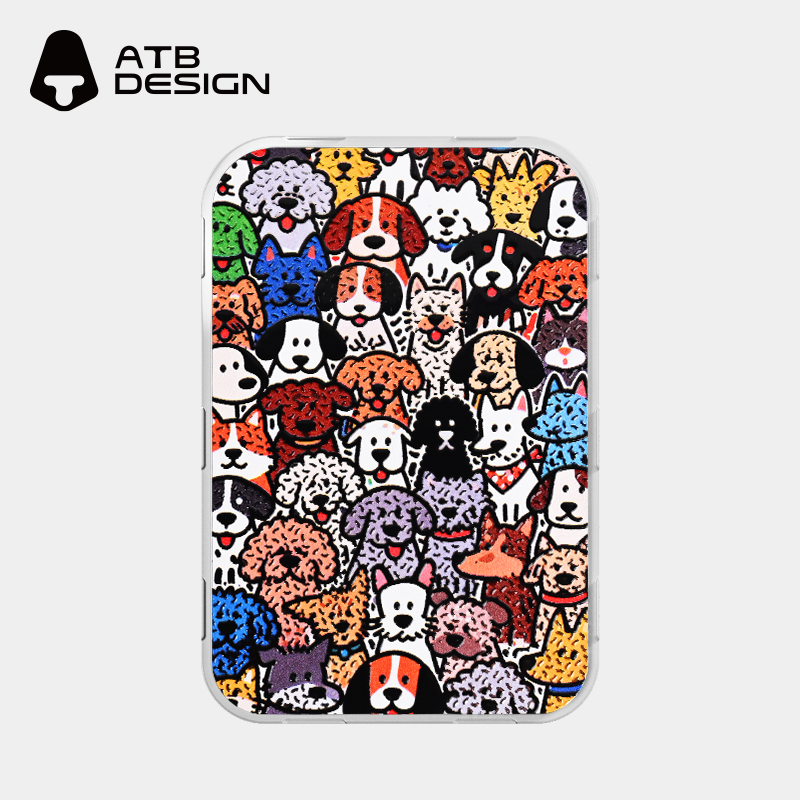 Replaceable back panel