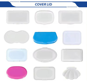 Biểu Tượng Tùy Chỉnh Flushable Khăn Lau Ướt 48 Đếm Bạc Hà Thêm-Lớn Flushable Dành Cho Người Lớn Khăn Lau - Product Image 3