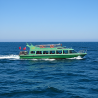 Ferry en fibre de verre Grandsea de 19,8 m, 70 places, état neuf, pour le transport du personnel, type de carburant diesel