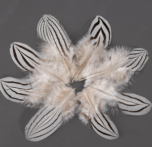 卸売りフェザーズナチュラル5-10 cmシルバー羽毛小型キジフェザー帽子デコレーション手工芸品ドライフライタイ用品 - Product Image 6