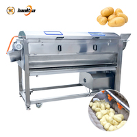 Machine automatique de nettoyage, lavage et pelage de fruits et légumes 800 kg/h, avec brosse pour pommes de terre