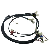 Aksesoris Motor Brave XFY0118 Tianjian 125 Tianqi YBR125 JYM Euro 1 Euro 2 Kabel Utama Seluruh Rangkaian Kendaraan Setara Tin