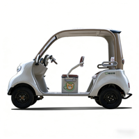 Véhicule électrique pour adultes à 4 roues et 3 places, avec toit ouvrant, vente directe du fabricant LANGTUO, vitesse maximale de 35 km/h, autonomie de moins de 100 km