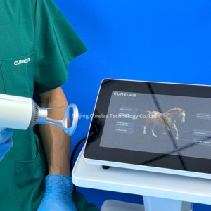 Équipement de thérapie laser de classe 4 pour soulager la douleur chez le chien, le cheval et le chat, utilisation médicale, 810 nm 980 nm pour les blessures aiguës - Product Image 2