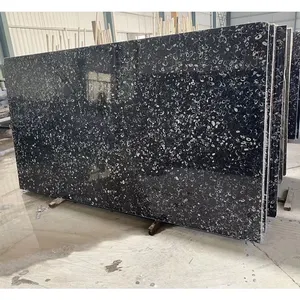 中国黑色化石大理石板，用于浴室梳妆台台面设计和室内地板砖