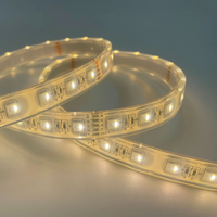 Bande lumineuse sous-marine pour piscine colorée DC12V/24V 5050 60LEDs 12mm 4 en 1 RGBW Epistar LED pour aménagement paysager