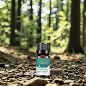 Huile essentielle d'eucalyptus 100% pure biologique en vrac pour parfums et savons, nouveaux prix de gros - Product Image 2