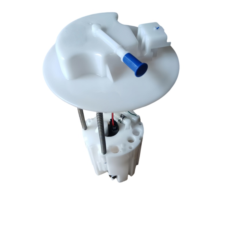Wuling Hongguang  Wuling  National 6 Euro 6 Gasoline Vehicle Fuel Pump Assembly, Automotive Fuel Pump and Accessories Pump Parts Image 1