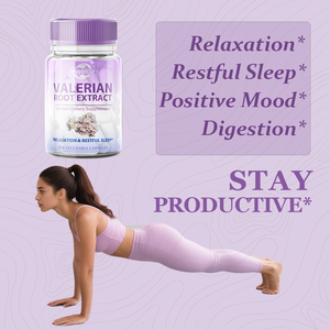 Oem ODM nhãn hiệu riêng valerian chiết xuất từ rễ viên nang 500mg-hỗ trợ tâm trạng & tập trung tinh thần, cảm thấy bình tĩnh & thư giãn, hỗ trợ giấc ngủ ngon - Product Image 3