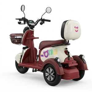 Motos puissantes pour la route et la ville, tricycles à grande vitesse pour adultes, moteur haute puissance 501-800W, livraison rapide - Product Image 3