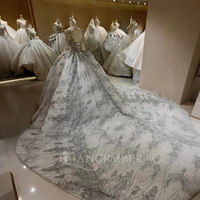 Robe de bal vintage en tulle longue avec traîne chapelle, manches longues, appliques uniques en sequins et cristaux, fleurs en dentelle modernes, modèle DW0159