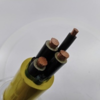Conducto Metálico Blindado de Cobre Tipo MC-HL para Ubicaciones Peligrosas CULus, Hermético al Gas, con Aislamiento FR-XLPE de 600V e IP44