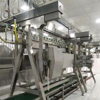 Ferme avicole automatique Agriculture Poulet Caille Oie Dinde Abattoir Équipement de traitement
