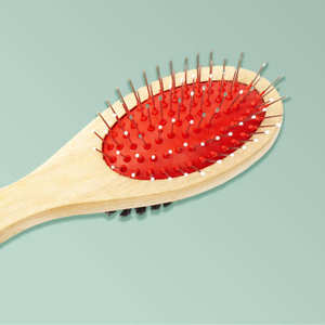 Brosse pour animaux de compagnie peigne pour chat brosse pour épilateur pour animaux de compagnie pour chiens chats outils de toilettage animaux peigne de démêlage - Product Image 2