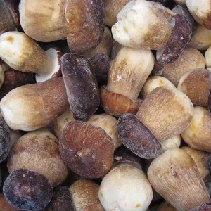 All'ingrosso IQF funghi interi congelati biologici porcini Edulis congelati ai funghi - Product Image 3