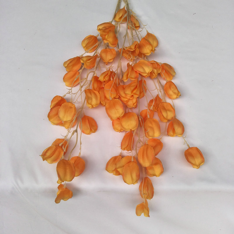 Orange1