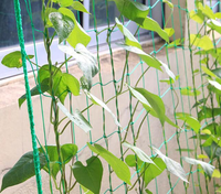 Filet de vigne grimpante pour plante, concombre, courge amère suspendue, filet de support de haricot de melon, filet de support spécial pour plante