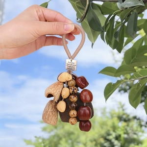 Wholesale Handcrafted Mixed Fruit Shell Pendant Vintage Natural Car Bag Hanging Decor Souvenir - Product Image 3