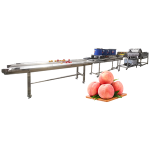 Ligne de production de kiwis <span class=keywords><strong>Agri</strong></span> Core Incl. Engrenage de moteur PLC pour séchoir à légumes pour usine de fabrication de pommes de terre de noix de coco - Product Image 2