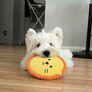Cartoon Plush <b>Dog</b> Flying Disc Squeaky <b>Soft</b> Fleece Outdoor Interactive Fetch Chew <b>Toy</b> for Small & Medium <b>Dogs</b> - Product Image 1