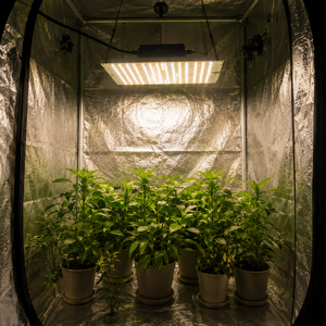 ไฟปลูกต้นไม้แบบแขวน 70W ฟูลสเปกตรัม LED ติดตั้งง่าย สำหรับปลูกพืชในร่มและสวนในบ้าน - Product Image 2