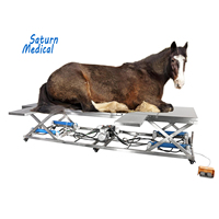 Table d'opération vétérinaire en acier inoxydable 304 réutilisable, hydraulique, pour chevaux, animaux de grande taille, bovins