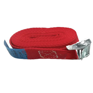 Strops 2,5 m x 25mm Correas de amarre de Servicio Ligero con hebilla autoblocante (10 piezas) - Product Image 1