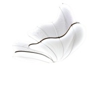 Accessoires de mariage, ailes de papillon en acier lumineuses, décoration suspendue au plafond, lustre de scène, décoration de mariage Valor TW0030