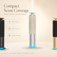 Diffuseur d'arômes professionnel sans eau, machine à parfum nébulisante rechargeable en alliage d'aluminium pour la maison