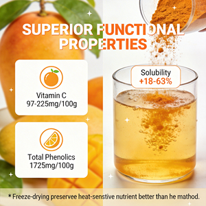 Gefreeze-droogde mangopoeder 100% puur natuurlijk wateroplosbaar fruitpoeder, voedingskwaliteit voor dranken, bakken, voedseladditief, fabriek - Product Image 3