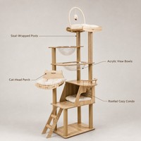 Arbre à chat tout-en-un gain de place avec lit capsule spatiale et plateforme pour chats petits et grands, usage intérieur