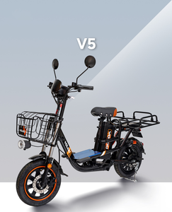 Biciclette Elettriche per Pendolari Urbani, Scooter Elettrici da Carico, Veicoli Elettrici a Lunga Autonomia, Altri Tipi di Biciclette Elettriche - Product Image 1